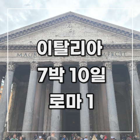  [이탈리아 여행 기록 19] 6일차 오전(로마 1)_ 체크아웃, 산타 마리아 노벨라역, 테르미니역, IQ 호텔, 산타 마리아 마조레 성당,판테온, 타짜도르, miscellanea