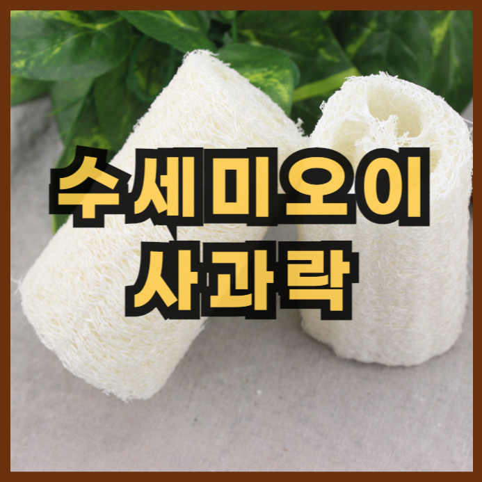  사과락(수세미 오이)의 한의학적 효능과 체질