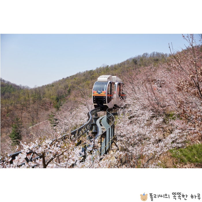 서울에서 곤지암 화담숲 뚜벅이 여행 가는 법 지하철 버스 택시