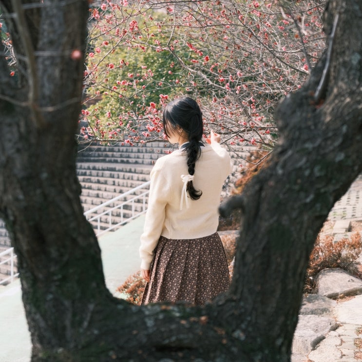  전남 순천 아이와 가볼만한곳 홍매화 여행 코스 BEST 4