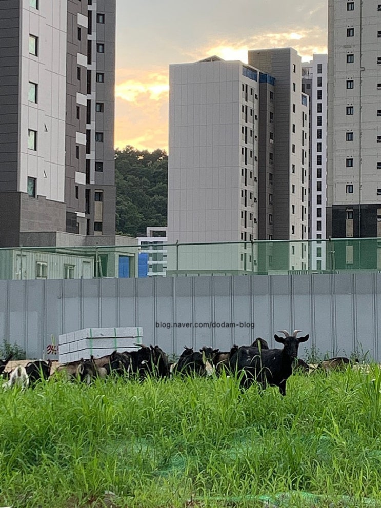  저기요 저는 분명 신도시에 살고있습니다만..?