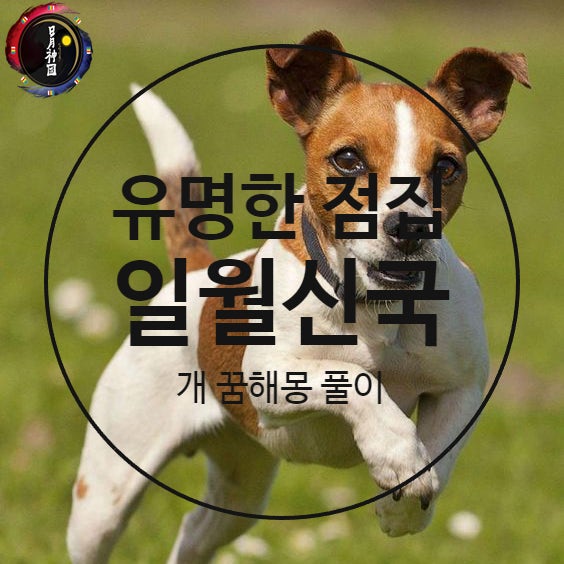 검은 개꿈해몽 큰 개꿈 강아지 꿈해몽