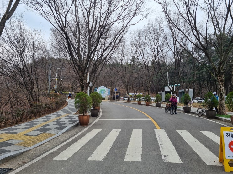  봉무공원 산책