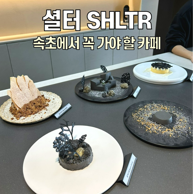  [속초 카페] 셜터 SHLTR / 디저트, 건물, 뷰 3박자가 완벽