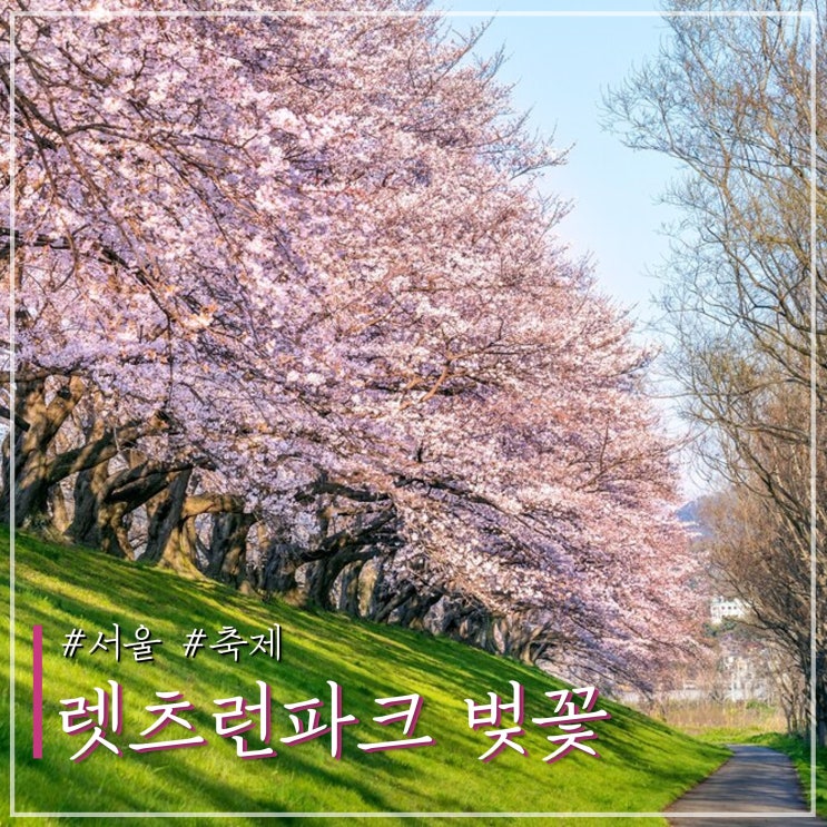 2024 서울 렛츠런파크 벚꽃 축제 일정