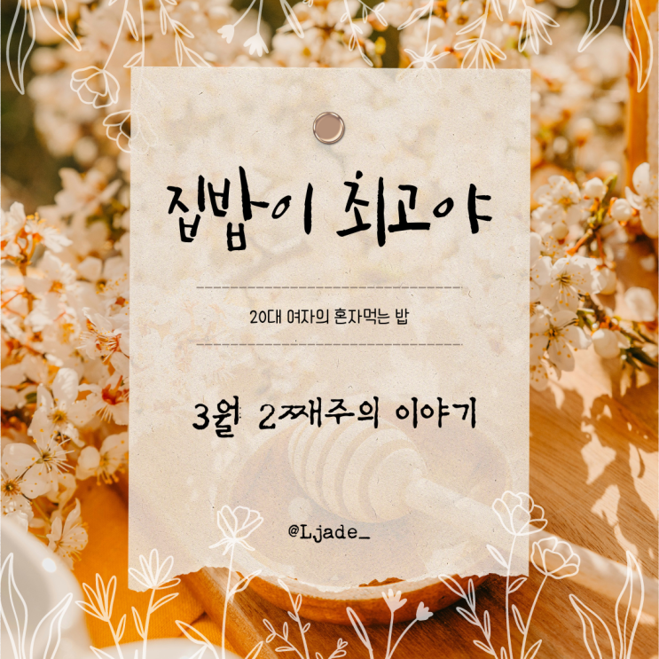  [집밥이 최고야] 3월 2째주 이야기: 월남쌈 불고기퀘사디아 부대찌개 양배추참치덮밥 비빔국수