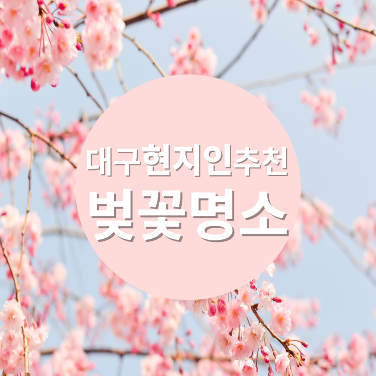  대구 놀거리 벚꽃 명소 모음.zip