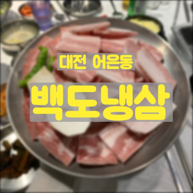  대전 유성 고기집, 회식장소로 추천하는 가성비 갑 백도냉삼