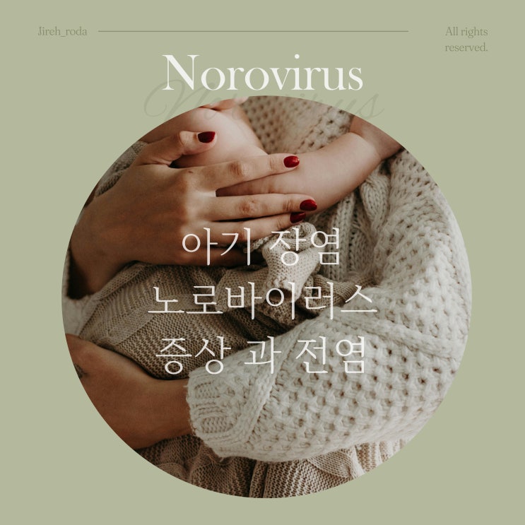  아기 장염 노로바이러스 증상 과 전염