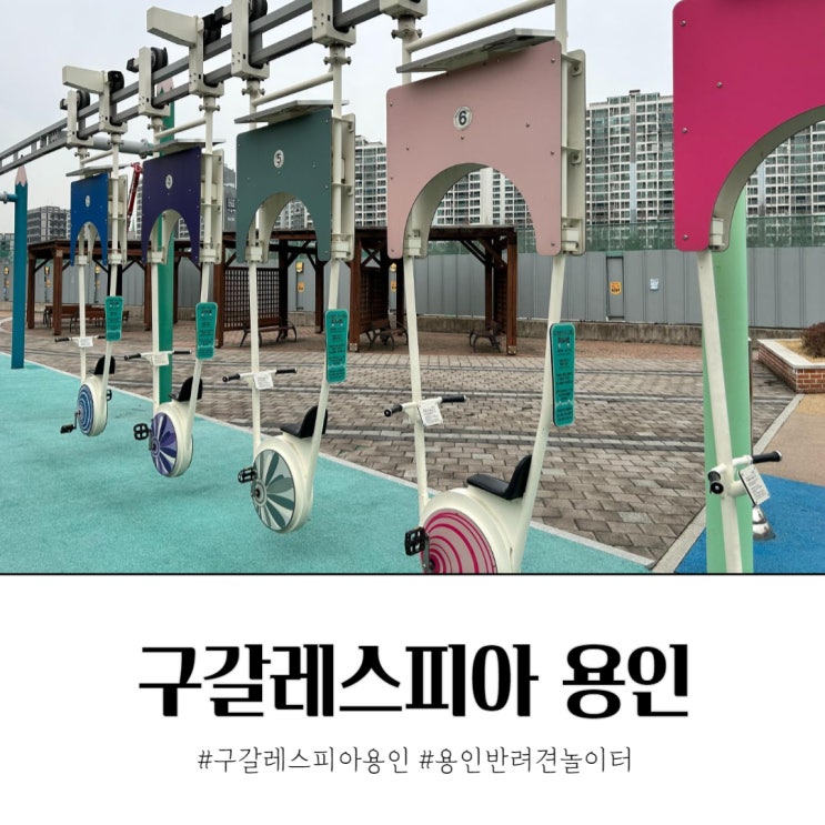  구갈레스피아 공원 산책 용인 반려견 놀이터