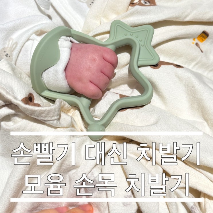  손빨기 대신 치발기 사용하기 모윰 손목 치발기