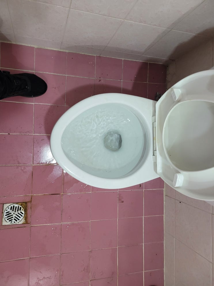 변기 물티슈로 인한 반지하 화장실 변기 막힘 오수관 문제