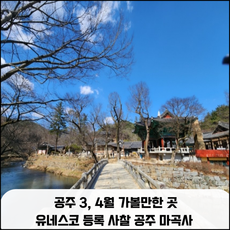  공주 3,4월 가볼 만한 곳 유네스코 등록 사찰 공주 마곡사