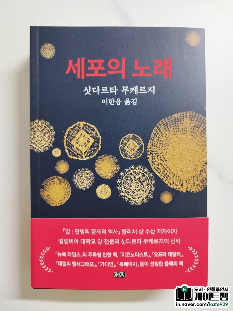 지방 성형외과✸다이아애드☾𝓭𝓲𝓪𝓪𝓭.𝓬𝓸.𝓴𝓻☽실리프팅.adr\, image size:800x1066