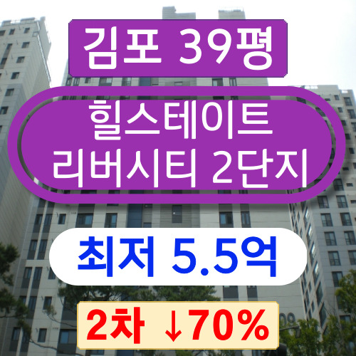김포아파트경매 2023타경3815 고촌읍 향산리 힐스테이트리버시티 2단지 39평 2차 경매 !!