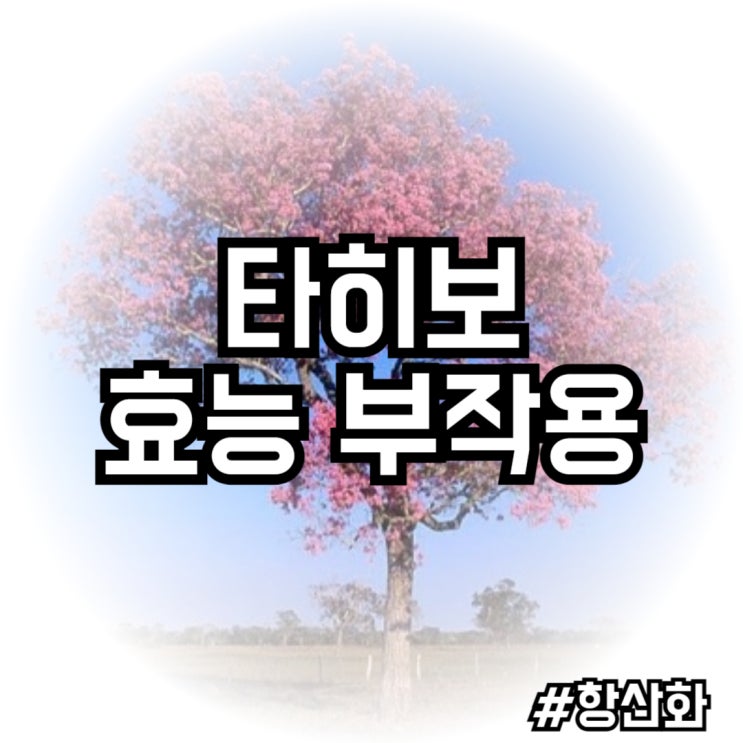  타히보 효능, 부작용, 주의사항