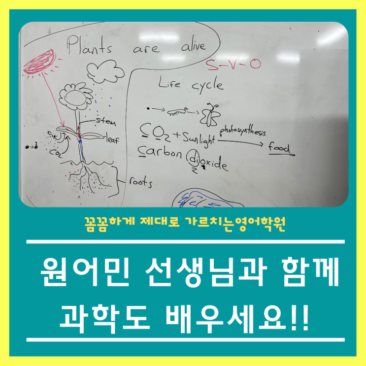  원어민 선생님 테마수업진행해요!