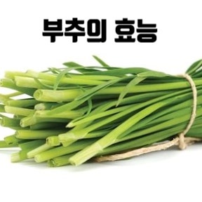  몸이 찬 사람 주목! 부추의 효능