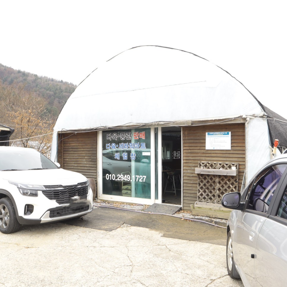 미란꽃농원 사진 4