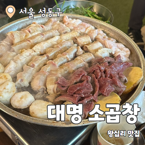  대명소곱창 : 왕십리역 국내산 소곱창 맛집 내돈내산 후기