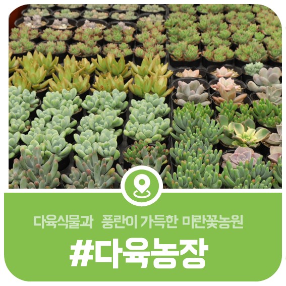 미란꽃농원 사진 1