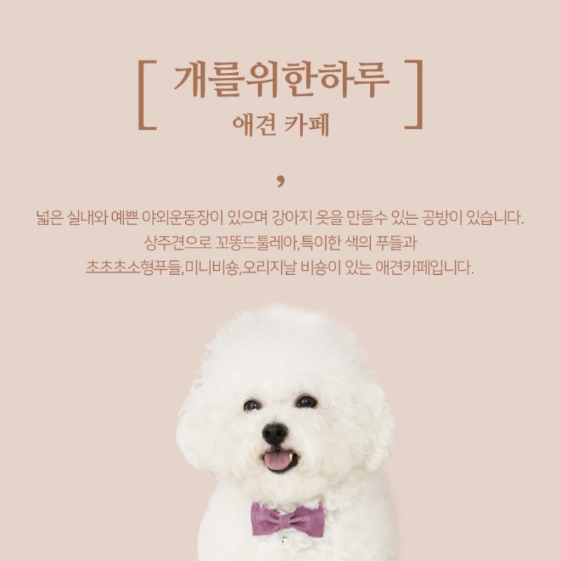 개를 위한 하루