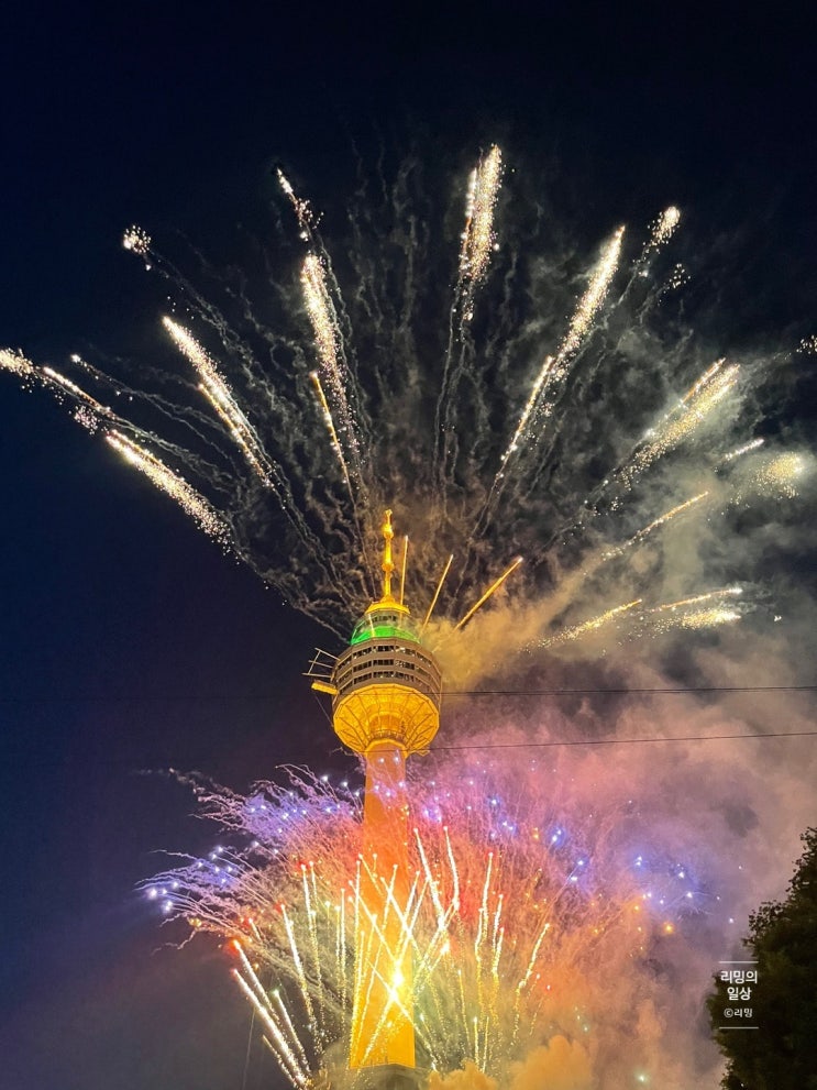  2024 벚꽃 축제 대구 이월드 블라썸 피크닉