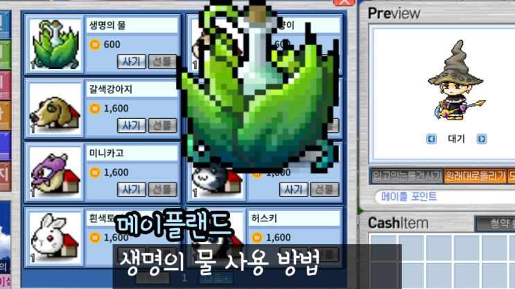  메이플랜드 생명의 물 생명의 주문서 얻는법 바르토스 위치 문제 정답