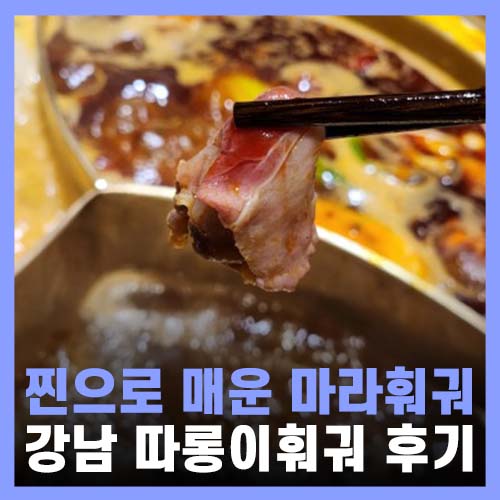  강남역 회식하기 좋은 현지의 맛 따롱이훠궈