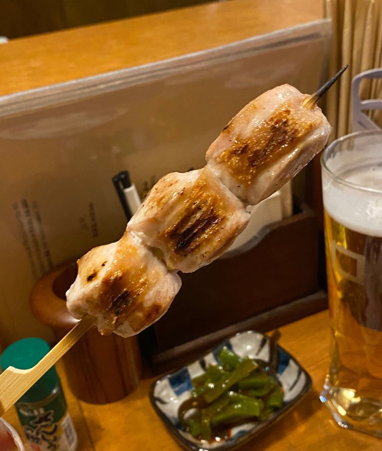  동대구역 꼬치 맛집 이자카야 [스기]