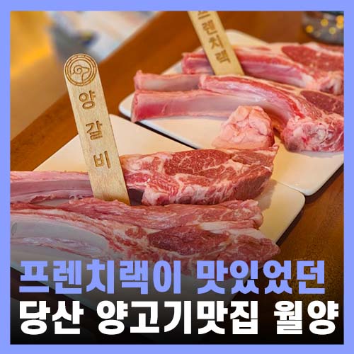  당산역 맛집 분위기 좋고 프렌치렉도 맛있는 월양