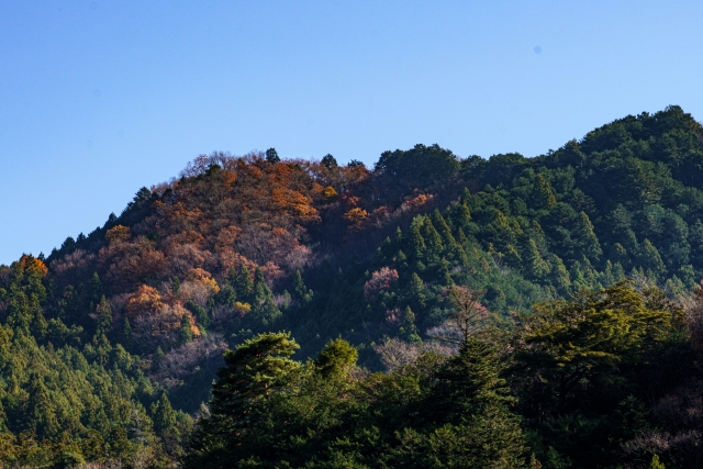 [2ch 괴담] 돌 할아버지 - 할아버지 노트 9