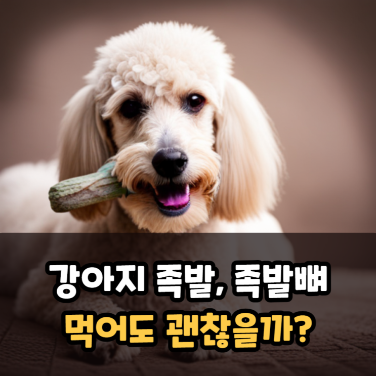  강아지 족발뼈 줘도 문제없을까, 고지방, 고열량, 고염분의 간식