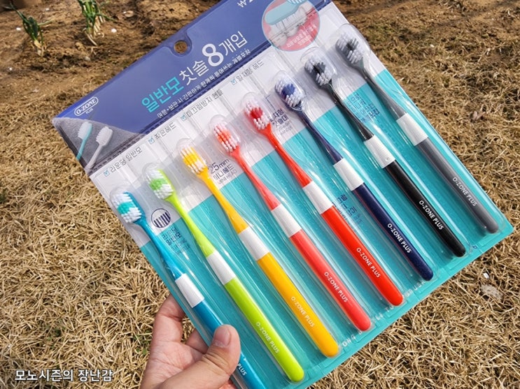  다이소 O-ZONE PLUS 일반모 칫솔 8개 세트 리뷰
