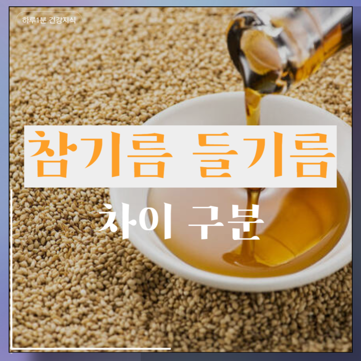  참기름 들기름 차이 구분 발연점
