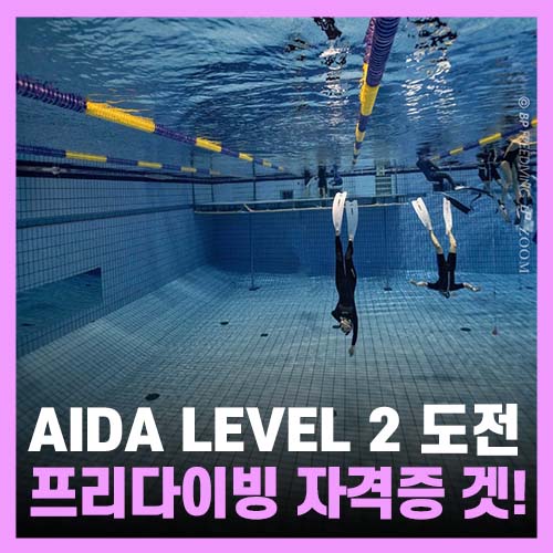  서울 프리다이빙 강습 AIDA 레벨2 자격증 후기!! with 블루페블