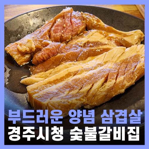  경주시청 맛집 가성비 좋은 혼밥 고기집 동천부경숯불갈비