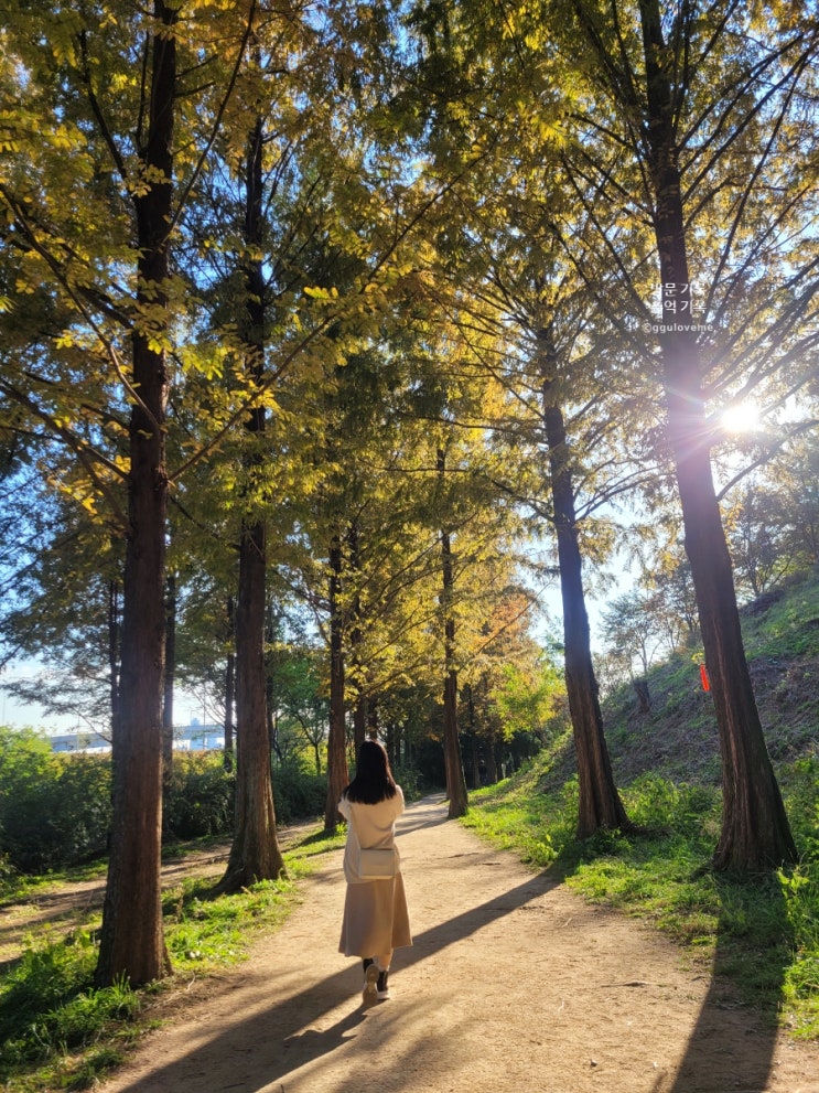 서울 월드컵공원 난지천공원 하늘공원 노을공원 절친과 새로운 추억