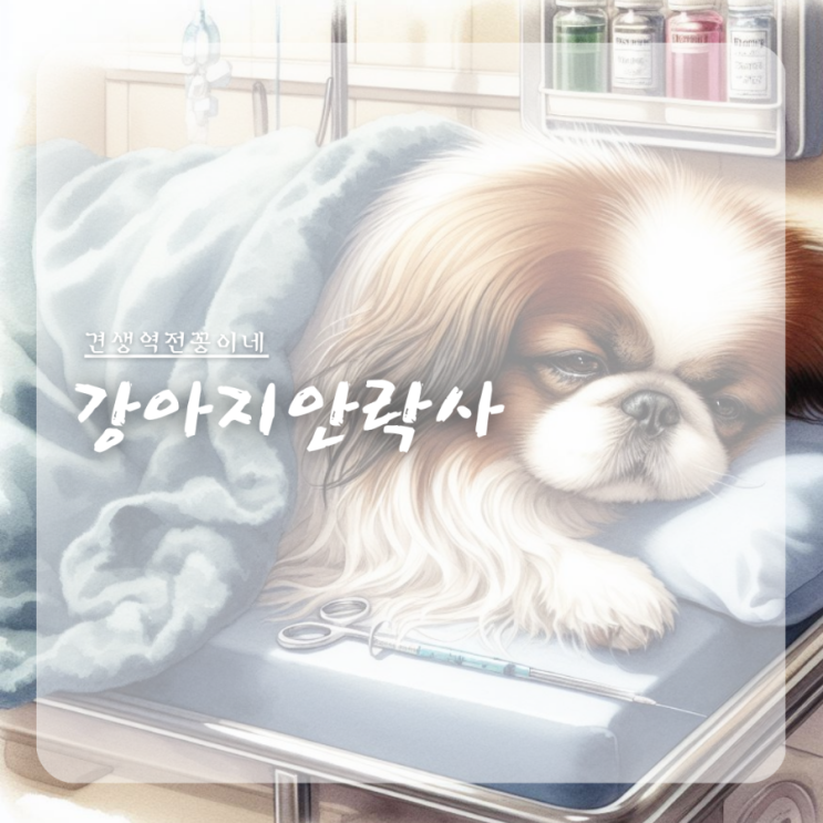  강아지 안락사 고통? 절차,비용