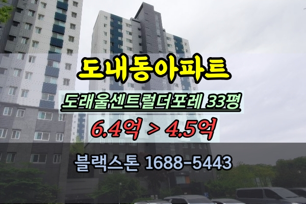 도래울센트럴더포레 경매 33평 도내동아파트 30평대 추천