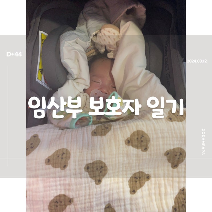2024.03.12 임산부 보호자 일기 D+44일 2024.03.12 임산부 보호자 일기 D+44일