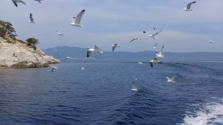  학은제 자격증 사회 복지사 2급시험 알아보셨나요 ?!