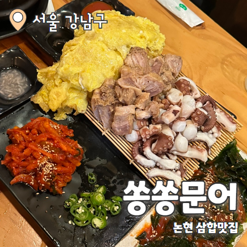  쏭쏭문어 : 신논현맛집 미쳐버린 문어삼합 내돈내산 후기