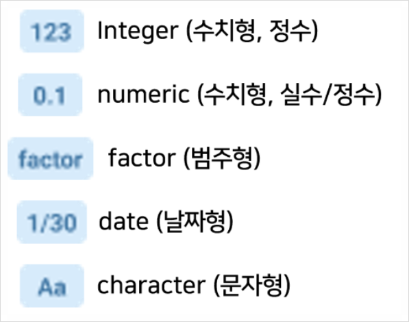 [BigZami] 컬럼 타입 이미지의 의미(시각화, integer, numeric, character 등)