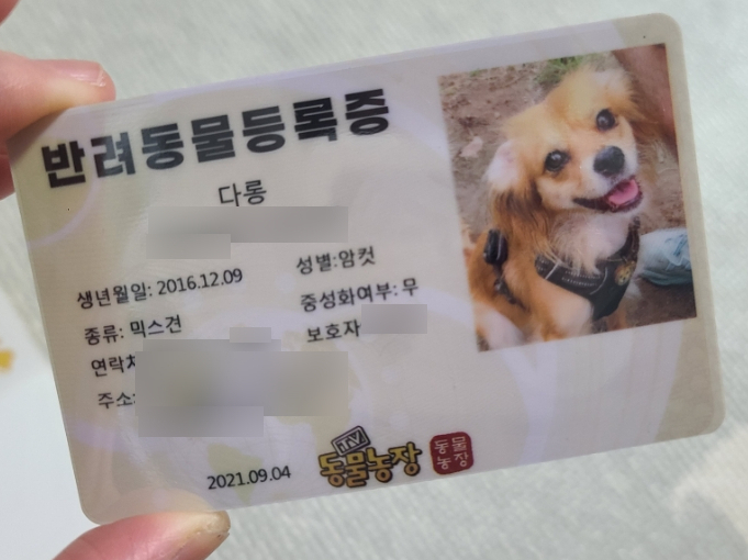  반려동물 등록주소 변경하는 법 상세_ 변경 후 광견병 국가지원 가능, 이사갔을 때 꼭 하세요!