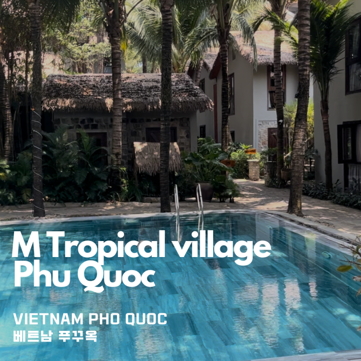  베트남 푸꾸옥 가성비 숙소 자연 친화적인 야자수 뷰 수영장 엠 빌리지 M Tropical village (아고다앱 예약 누락c)