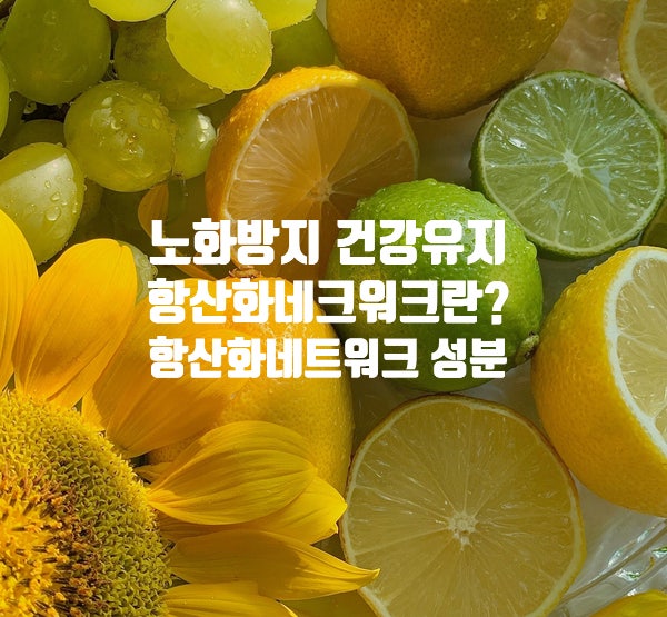  롱코비드,항산화 네트워크란? 항산화효과 올리는법과 활용법