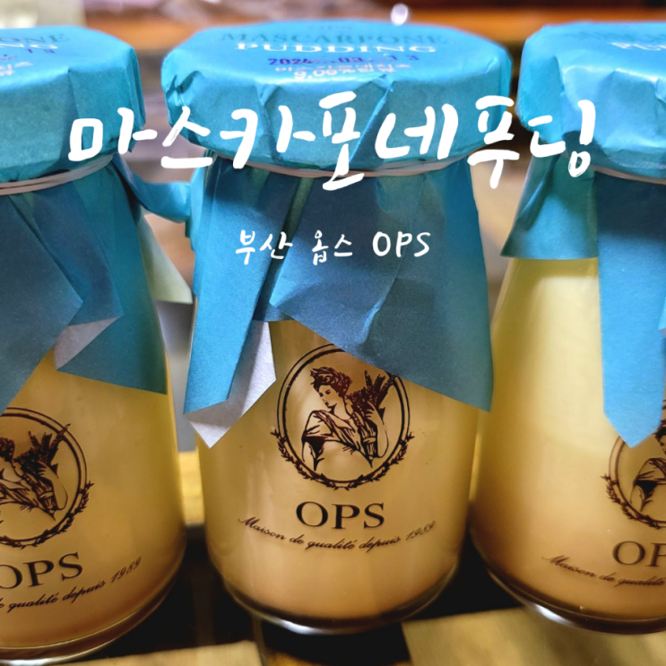  부산 서면 옵스 마스카포네 푸딩 내돈내산 솔직후기