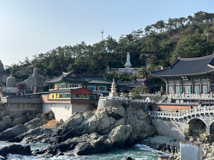  부산 뚜벅이 여행 2박 3일 일정 해동용궁사, 깡통시장(씨앗호떡), 해운대, 태종대, 광안리