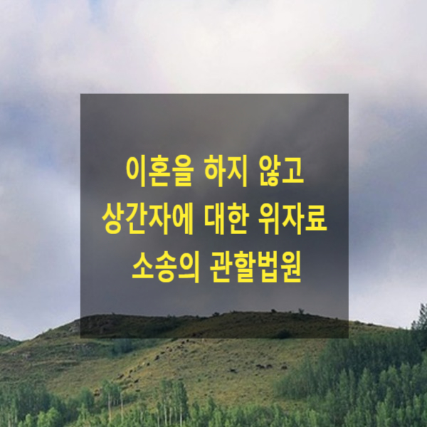  이혼을 하지 않은 상태에서 상간녀(상간남)에 대한 위자료 소송의 관할법원